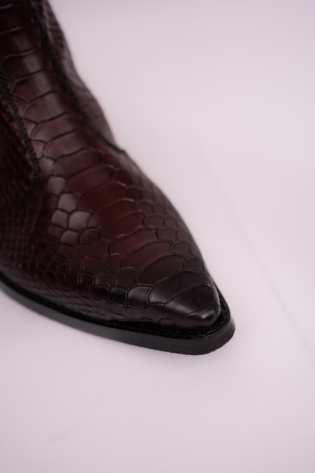Bourbon Krait